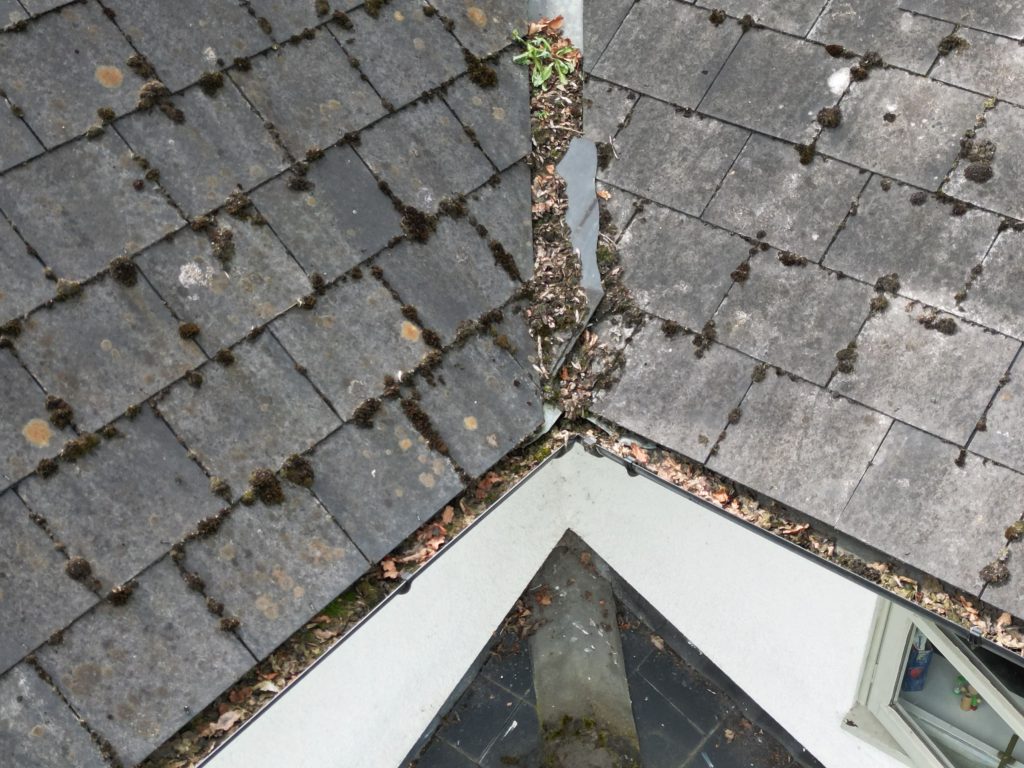 Drone roof inspection
